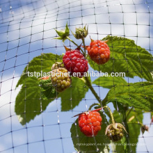 Red extruida cuadrada de protección contra aves agrícolas